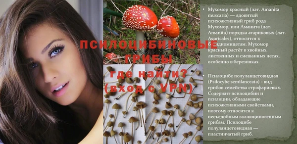 меф Балахна
