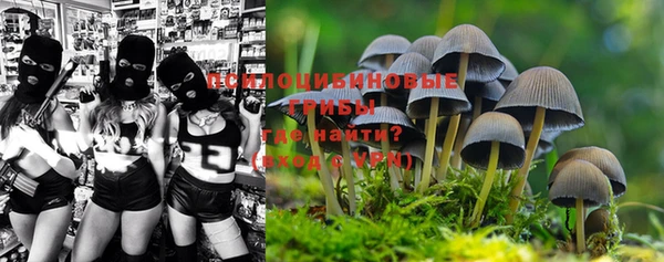 MESCALINE Баксан