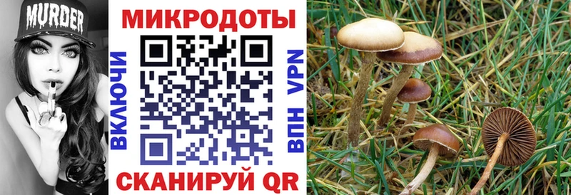 Псилоцибиновые грибы MAGIC MUSHROOMS  Котлас 